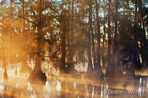 Lake Martin Morning_25870.jpg - Photographed in the Cypress Island Preserve near Breaux Bridge, Louisiana, USA.